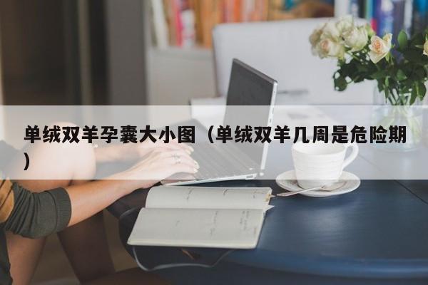 单绒双羊孕囊大小图(单绒双羊几周是危险期)